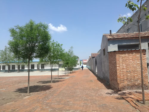 德州健之源專(zhuān)業(yè)承接袋泡茶oem加工,袋泡茶加工,袋泡茶代加工袋泡茶oem加工,袋泡茶加工,袋泡茶代加工...等等為您提供一站式全方位的服務(wù)，從原料、配方、包裝等一切由雙方協(xié)商解決?，F面向全國承接各類(lèi)袋泡茶保健茶批發(fā)制作來(lái)料加工、包工包料。