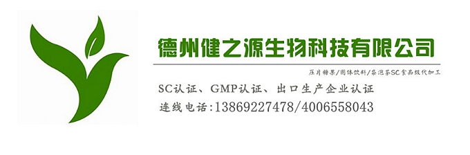 桑葉提取物 古桑養生茶 袋泡茶加工企業(yè)德州健之源