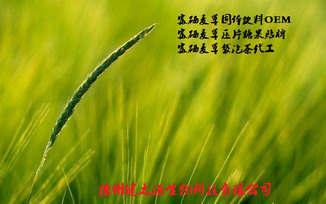 山東保健食品oem貼牌代加工廠(chǎng)-德州健之源
