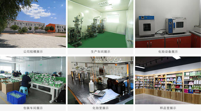 代餐粉代加工廠(chǎng)家介紹-德州健之源